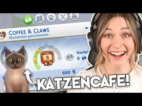 Unser Katzencafe-Business in Die Sims 4 läuft IMMER BESSER! | simfinity