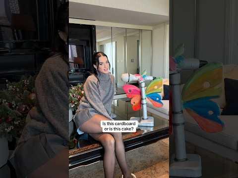 is it cardboard or is it cake?