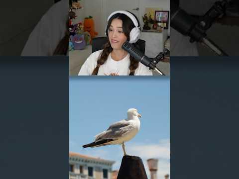 Rae Becomes A Seagull 😭