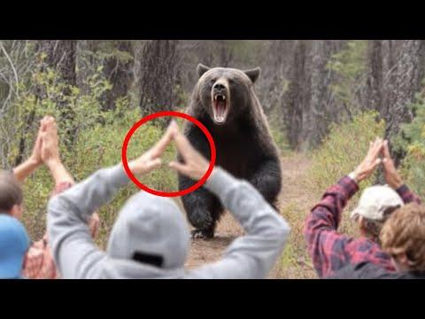 Diese Camping-Lifehacks werden Ihr Leben retten