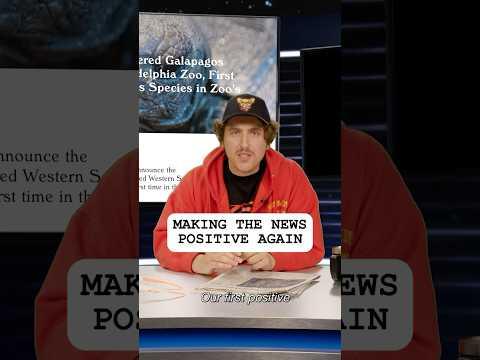 Making the News Positive again