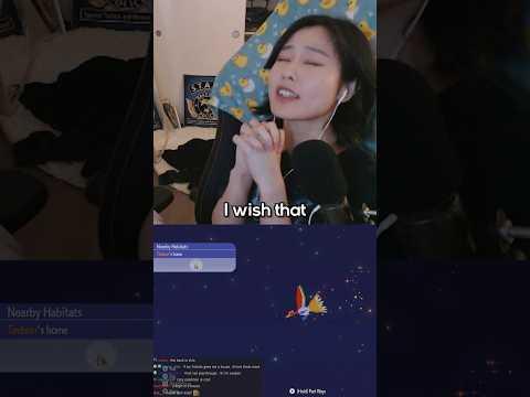 my wish better come true