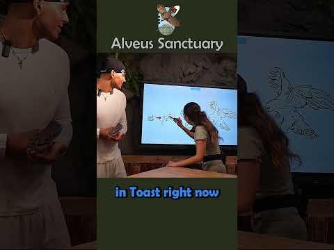 Learning Marlon can’t math #marlon #alveussanctuary #mayahiga