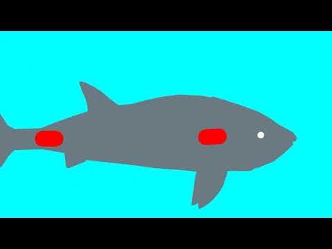 megalodon vs leedsichthys