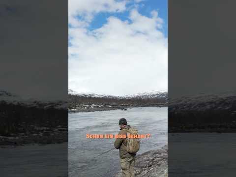 Ein bisschen Glück gehört halt auch dazu 😊