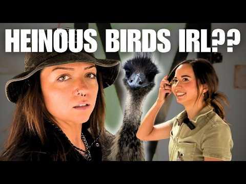 Getting Over My Bird Problem at Alveus Sanctuary | Lindsay Nikole