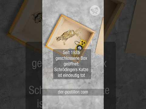 Seit 1935 geschlossene Box geöffnet: Schrödingers Katze ist eindeutig tot