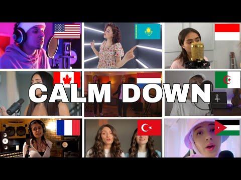 Whosangitbetter : Rema, Selena Gomez - Calm Down (France, turkiye, Indonesia, Algeria, Netherlands)