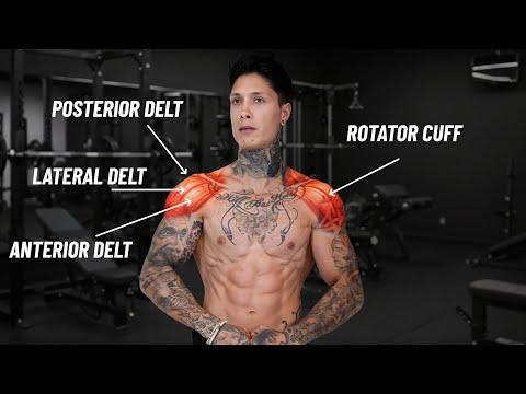 BULLETPROOF YOUR SHOULDERS | NO MORE PAIN