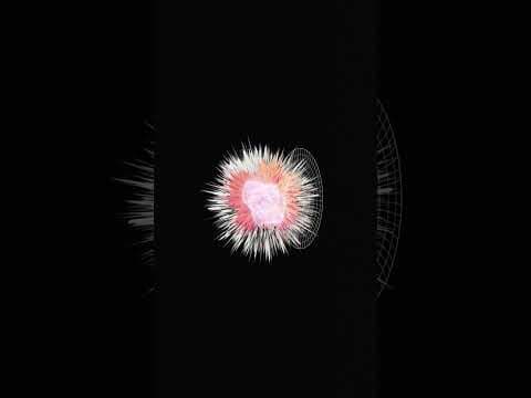 How did the universe begin? | Big Think Explainers