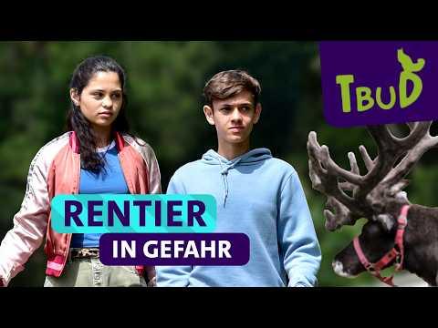 Ein Weihnachtsmann mit Gewehr? Highlights aus Folge 132 - Rudi Rentier | Tiere bis unters Dach