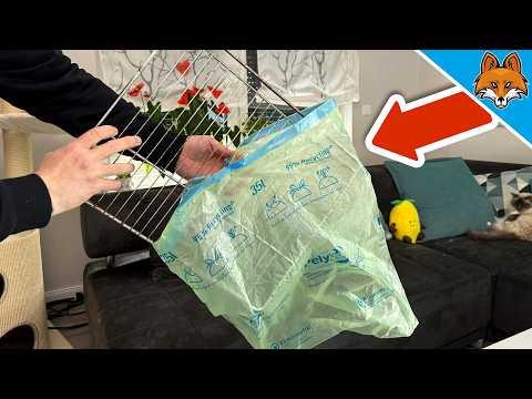 Die EINFACHSTE Möglichkeit ein Backbleck zu reinigen💥(Kennt Niemand)🤯