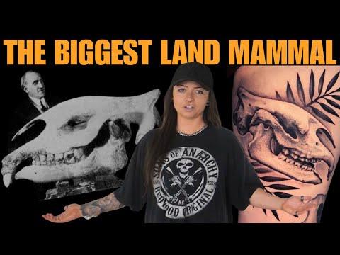 EXTINKED: Paraceratherium | Ep. 5 I Lindsay Nikole
