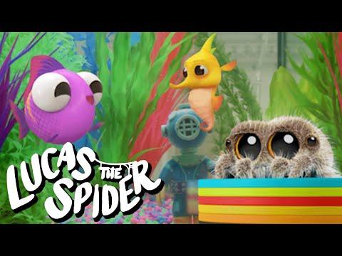 Meet Lucas the Spider's Friends Dimples & Weebiscuit