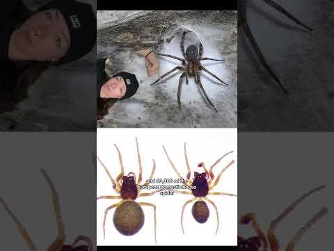 touching it is crazy