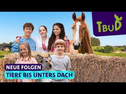 So geht's weiter! Neue Folgen von... | Tiere bis unters Dach