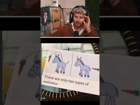 Wenn die Realisation kickt - Streamclip von @timjacken