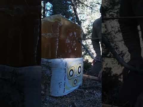 SHOOTING Funky Arrowheads at Ballistics Gel #survival #archery #arrowhead #flintknapping #nature