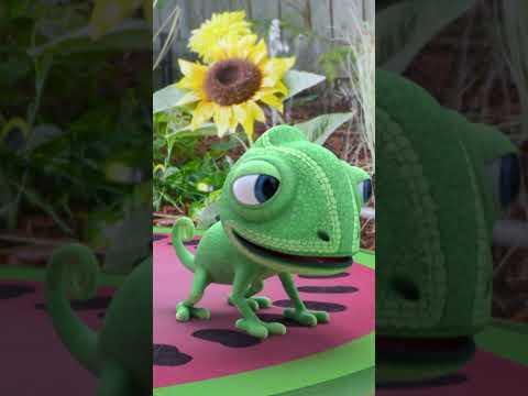 POV When Your Pet is Ready to Play in the Water # #lucasthespider #funny