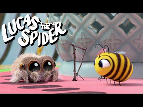 Lucas the Spider's Adventures With Maizie and Friends | Cartoons for Kids