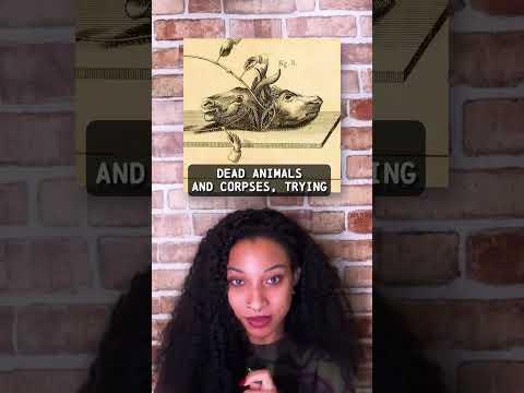 Is Frankenstein Based on A True Story?