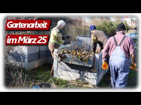 Gartenarbeit März | Hochbeete & Beerensträucher vorbereiten, Lavendelschnitt und mehr