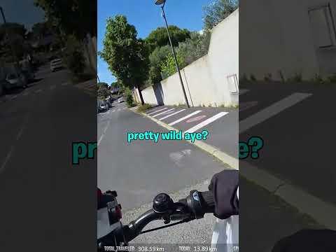 You Encounter Weird Things When Travelling...