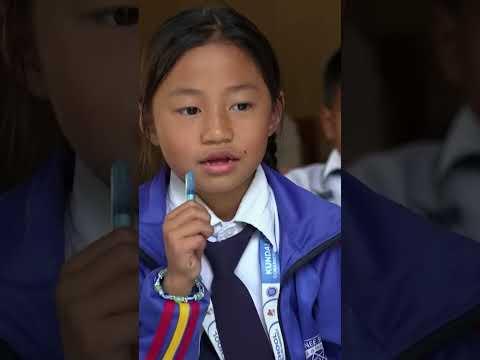 Nachhaltige Bautechnik! #taff #news #shorts #mounteverest