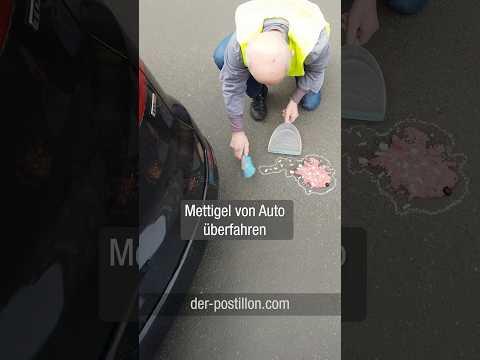 Mettigel von Auto überfahren