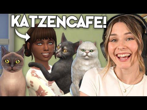 Endlich Nachwuchs im KATZENCAFE in Die Sims 4! | simfinity
