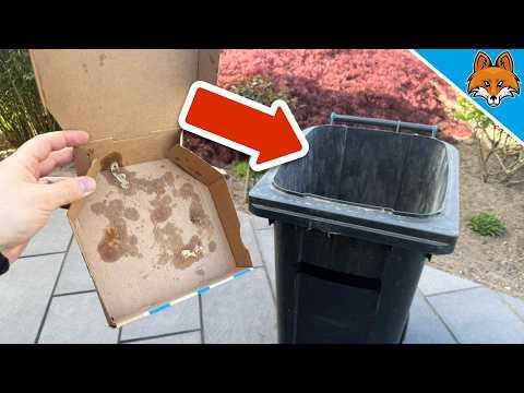 2500 € Bußgeld droht: Fast JEDER entsorgt Pizzakartons FALSCH🤯💥