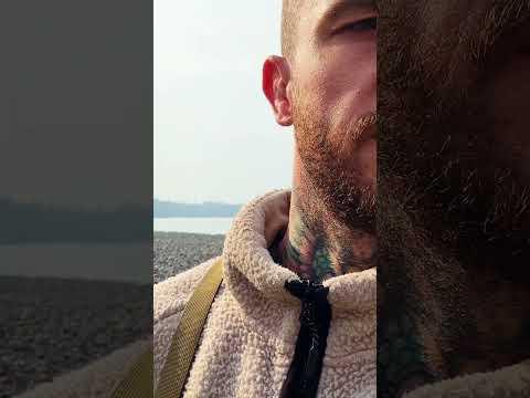 Ein Wolf ist in unserem Lager