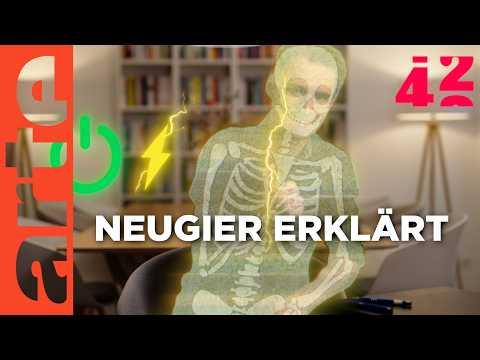 Sind wir zu neugierig? | 42 - Die Antwort auf fast alles | ARTE