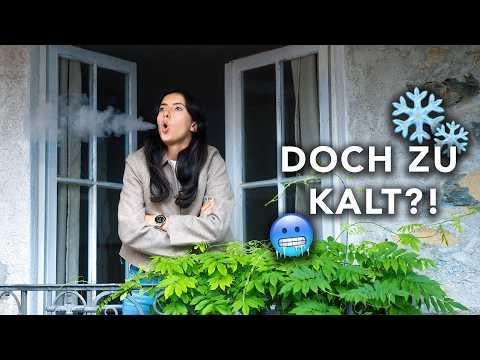 Fehlende Heizung! Bereuen wir unser Schweizer Steinhaus doch?