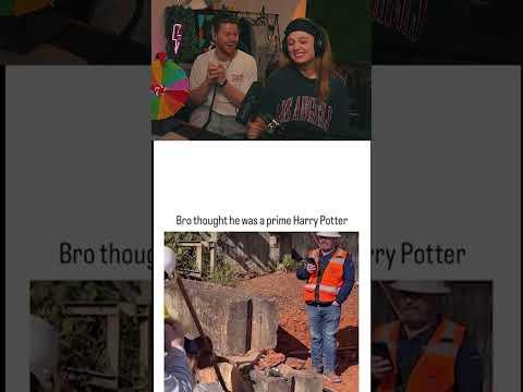 Der beste Freund des menschen einfach