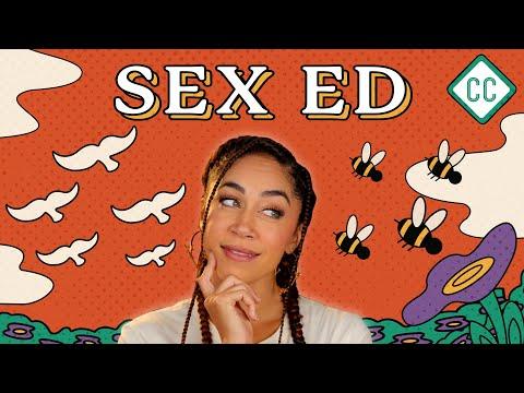 Crash Course Sex Ed Preview