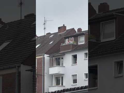 Ein letztes Tschau aus 2025. Auf ins neue Jahr mit euch! #beautiful