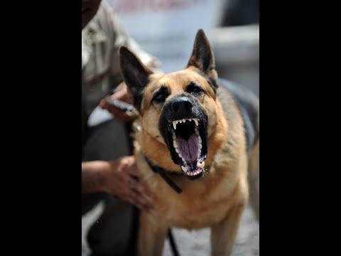 Arc Raiders (was edit)