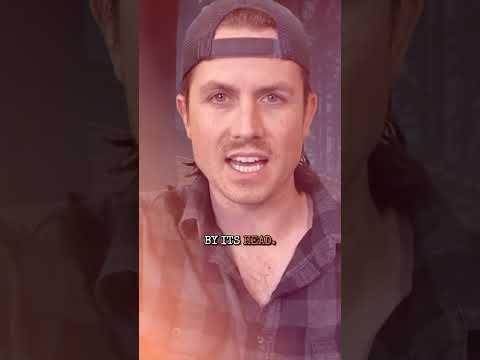 Every Park Rangers WORST Nightmare.....