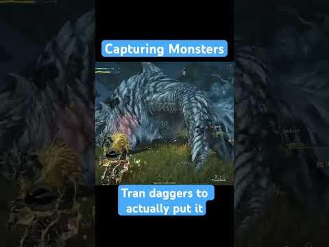 Capturing the monster . . #monsterhunterwilds #tips #trap #gaming