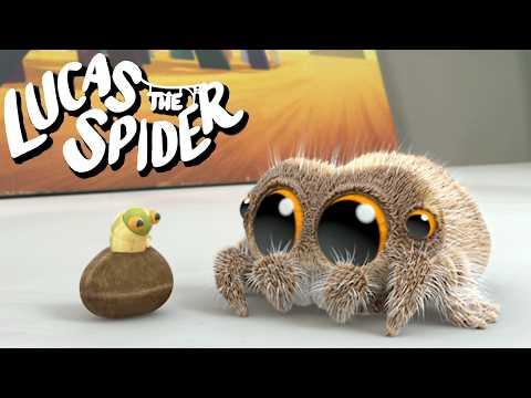 Lucas the Spider's New Jumping Friend - Cartoon for Kids