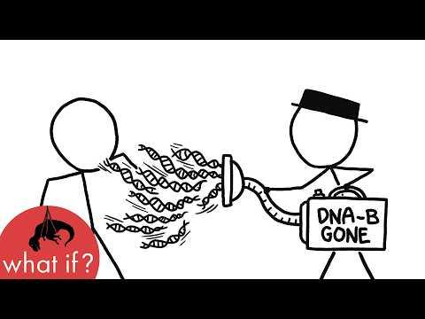 How long would you survive with no DNA?