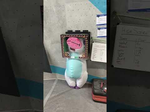 Unicorn VS Squeeze Box