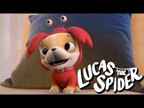 Avocado Dress Ups for Halloween + More Lucas The Spider Videos for Kids