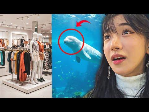 This Mall Has An Aquarium and Zoo Inside? 😱