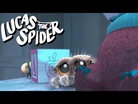 Lucas the Spider and Findley Get Scared From a Thunder Storm - Kids Cartoon