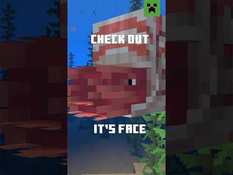 MOUNT THE NAUTILUS NOW!