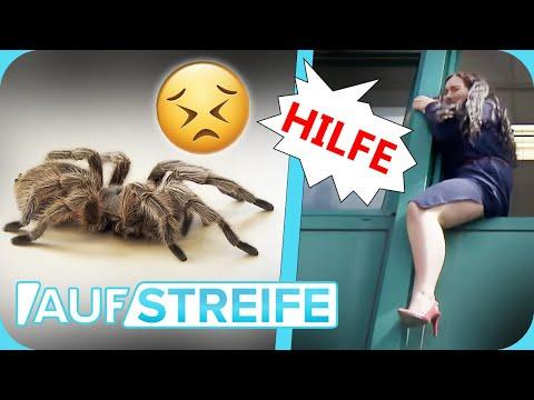 "Ich hab' so ANGST!" ​😣​🕷️ Mitarbeiterin wird mit VOGELSPINNE eingesperrt! | Auf Streife | SAT.1