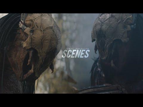 Feral Predator Scenes (Prey) [1080p+Logoless] (NO BG Music)