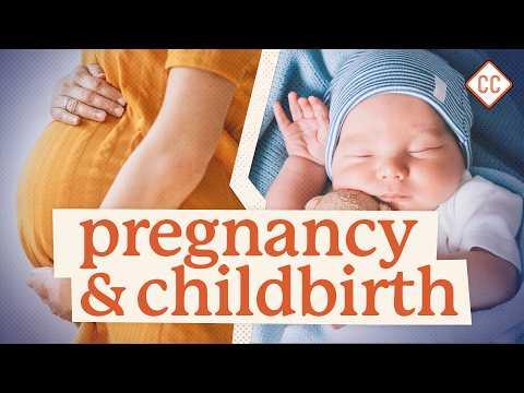 Pregnancy & Childbirth: Sex Ed #9
